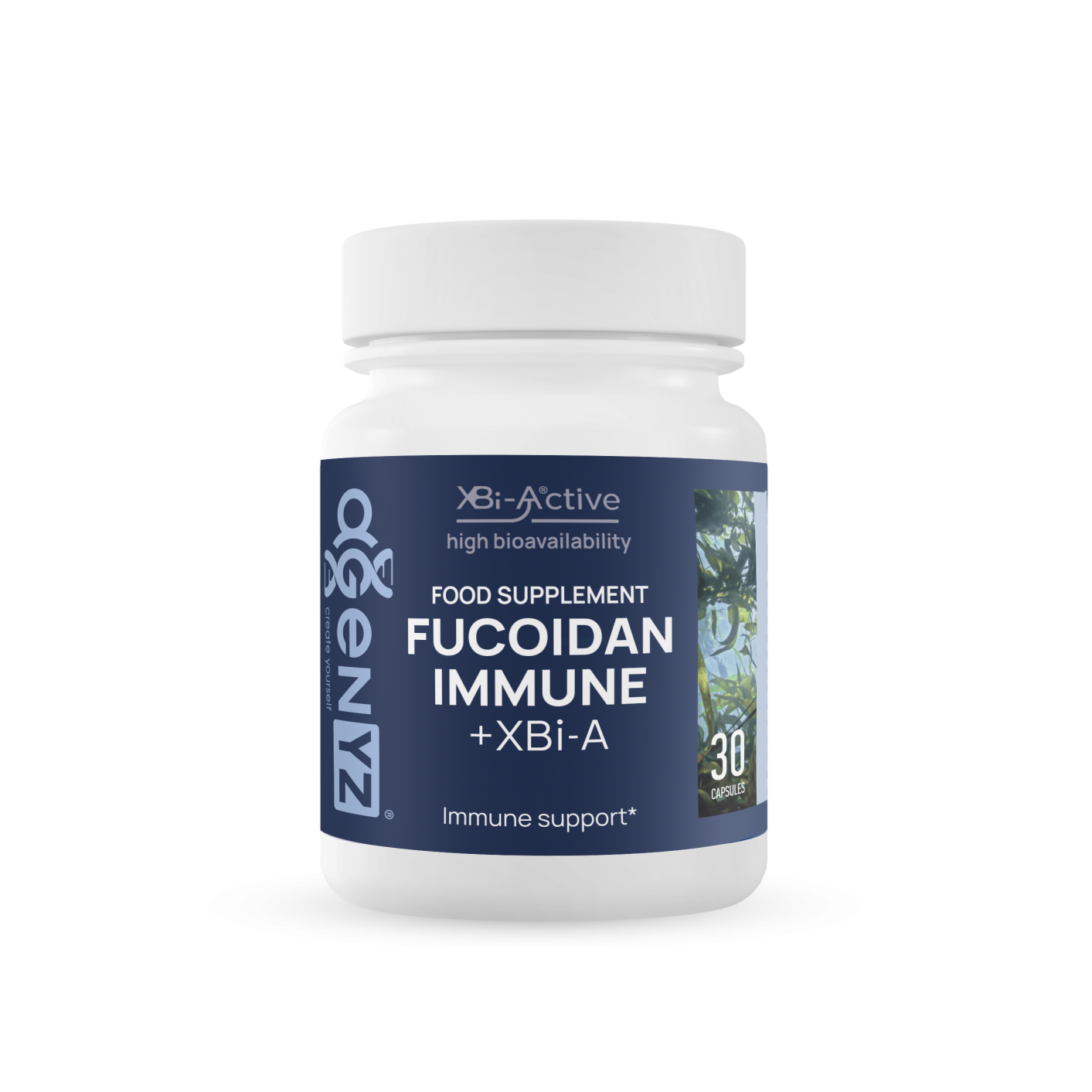 Fucoidan inmunitario + XBi-A